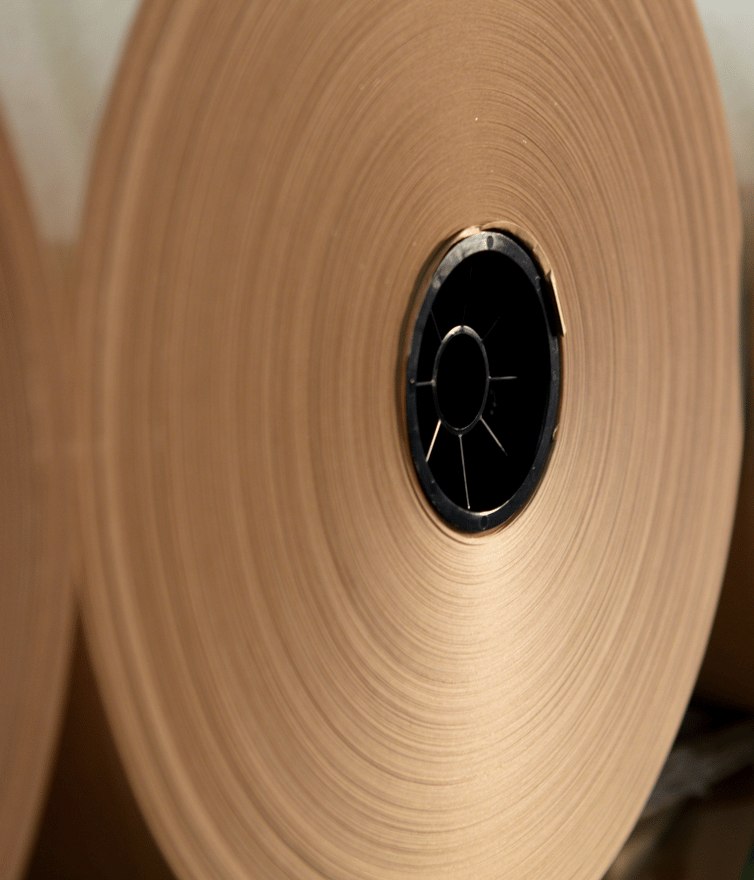 Paper roll